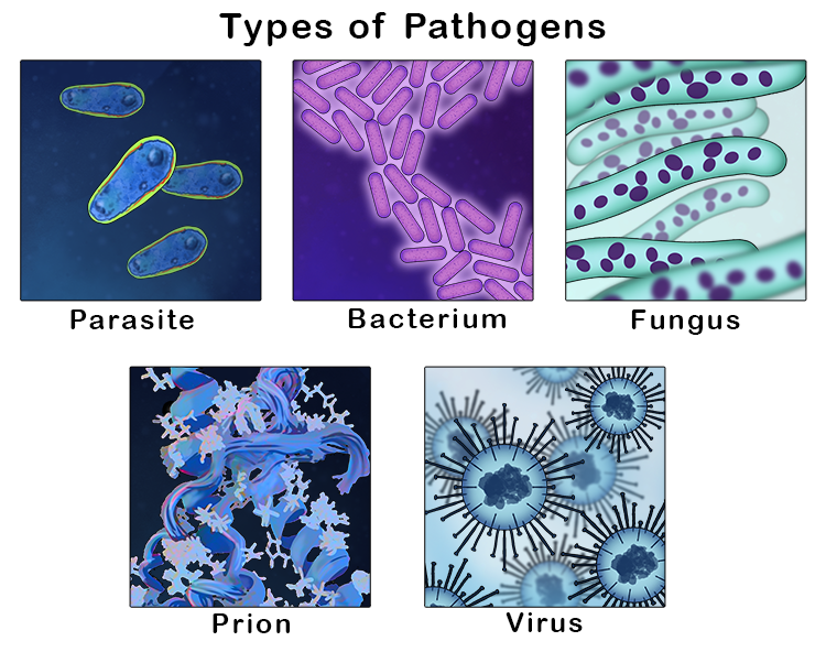 microorganism that can cause disease